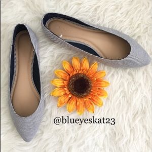 NWOT Chambray Stripe Fabric Pointed Toe Flats